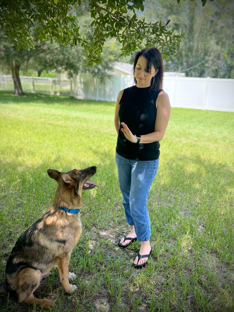 Agape Owner Trish Shown Training a Dog to Sit In Place